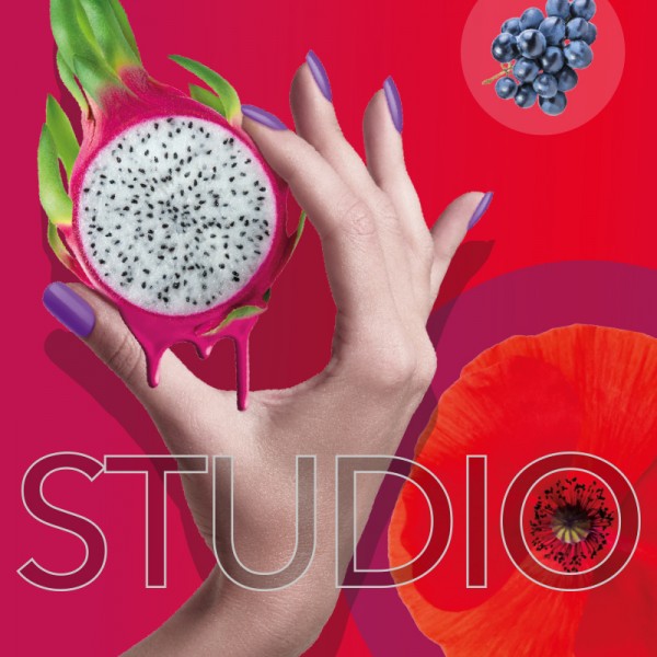 STUDIO 2/2019