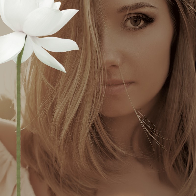 Webinar Verpasst Webinare Lcn Beauty School