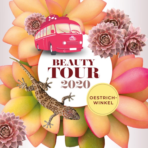 Beauty Tour 2020